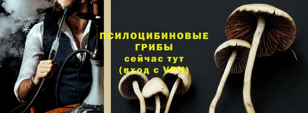 дживик Алзамай