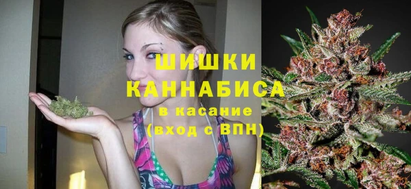 сатива Абдулино