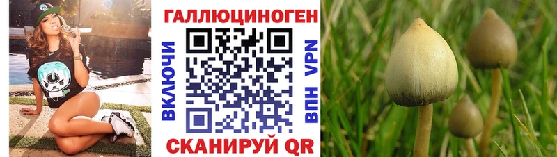 Псилоцибиновые грибы MAGIC MUSHROOMS наркотики Тамбов