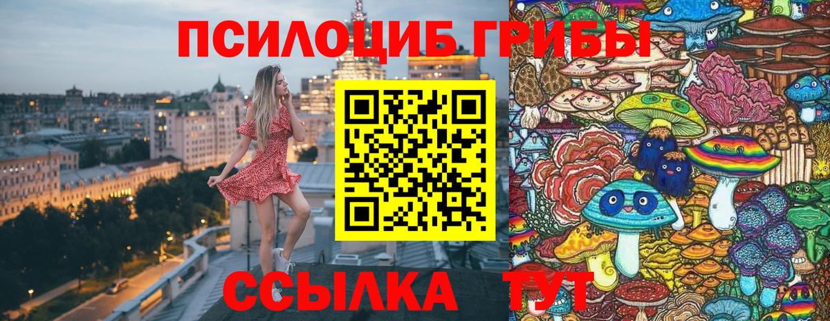 Галлюциногенные грибы GOLDEN TEACHER Тамбов