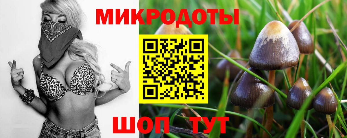 Тамбов  Псилоцибиновые грибы GOLDEN TEACHER  Вход с VPN 